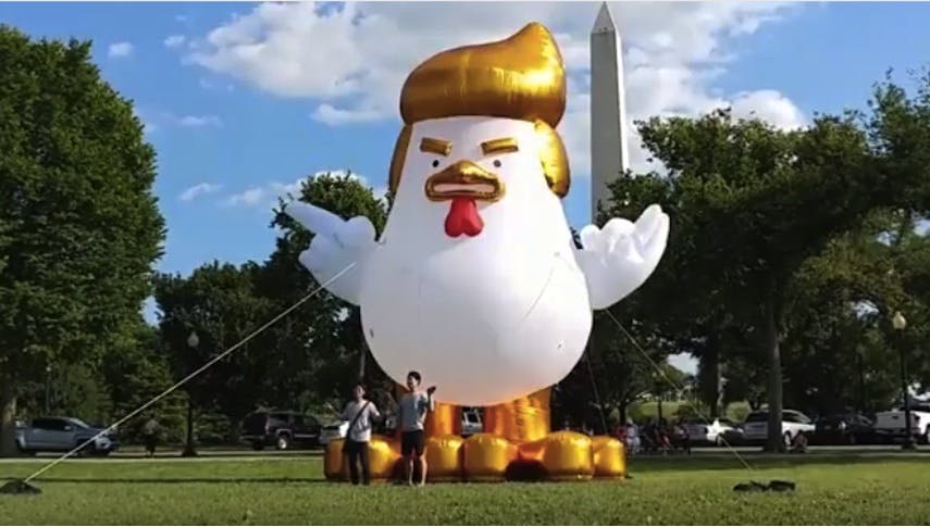 Trump Huhn