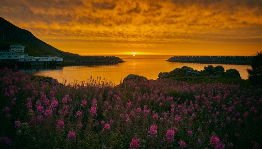 Midsommar: So lange bleibt es im Norden hell!