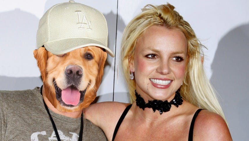 Hund Britney Spears