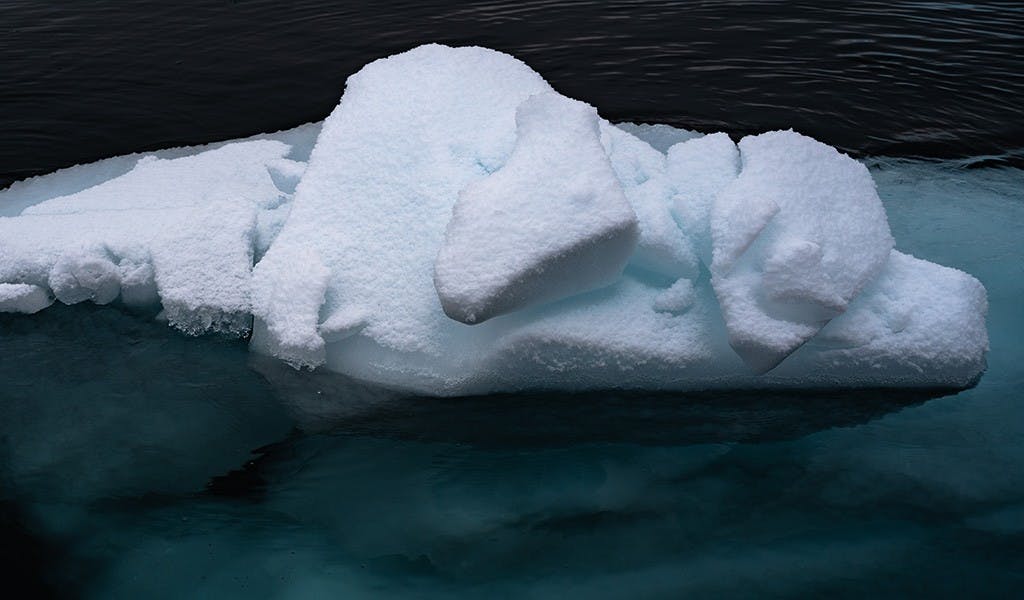 Ice Bucket Challenge 2.0 — Diese Seniorin schippert auf Eisscholle aufs offene Meer