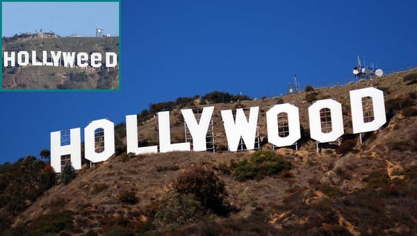 Hollywood Hollyweed